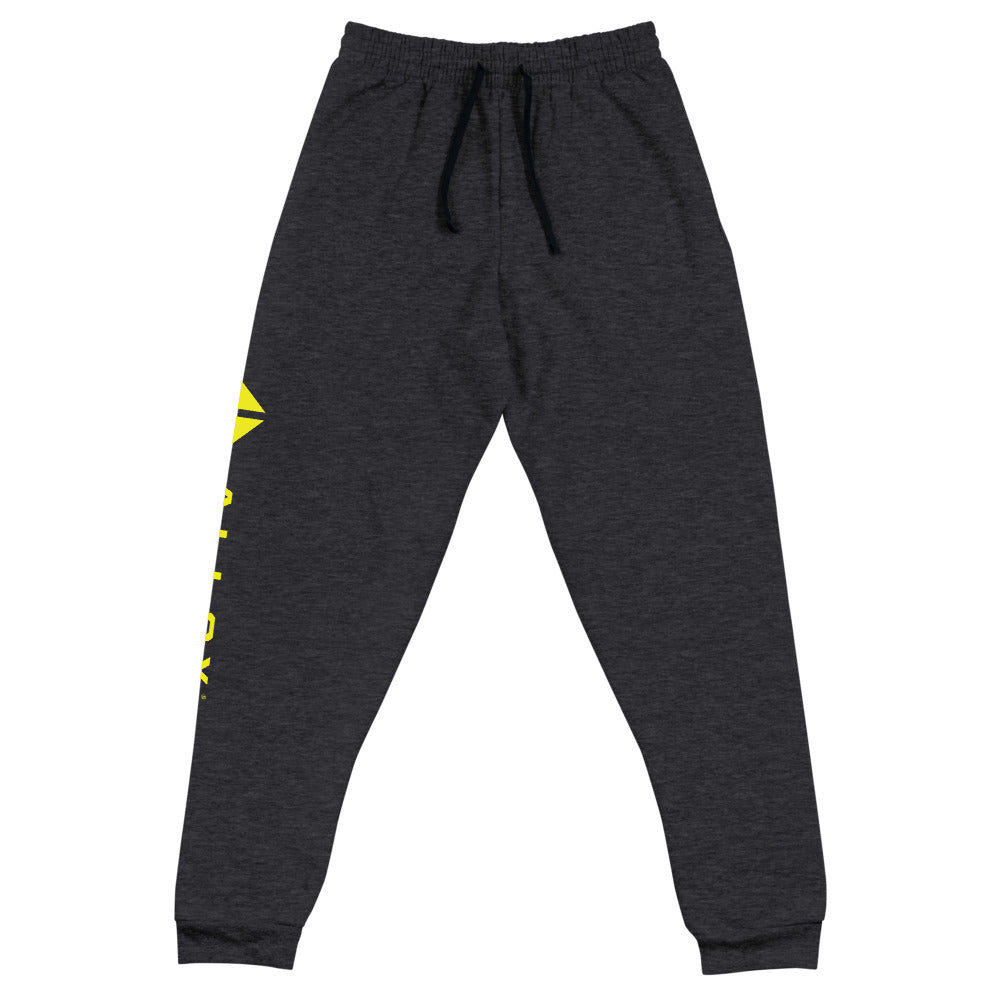 Alloy Unisex Joggers