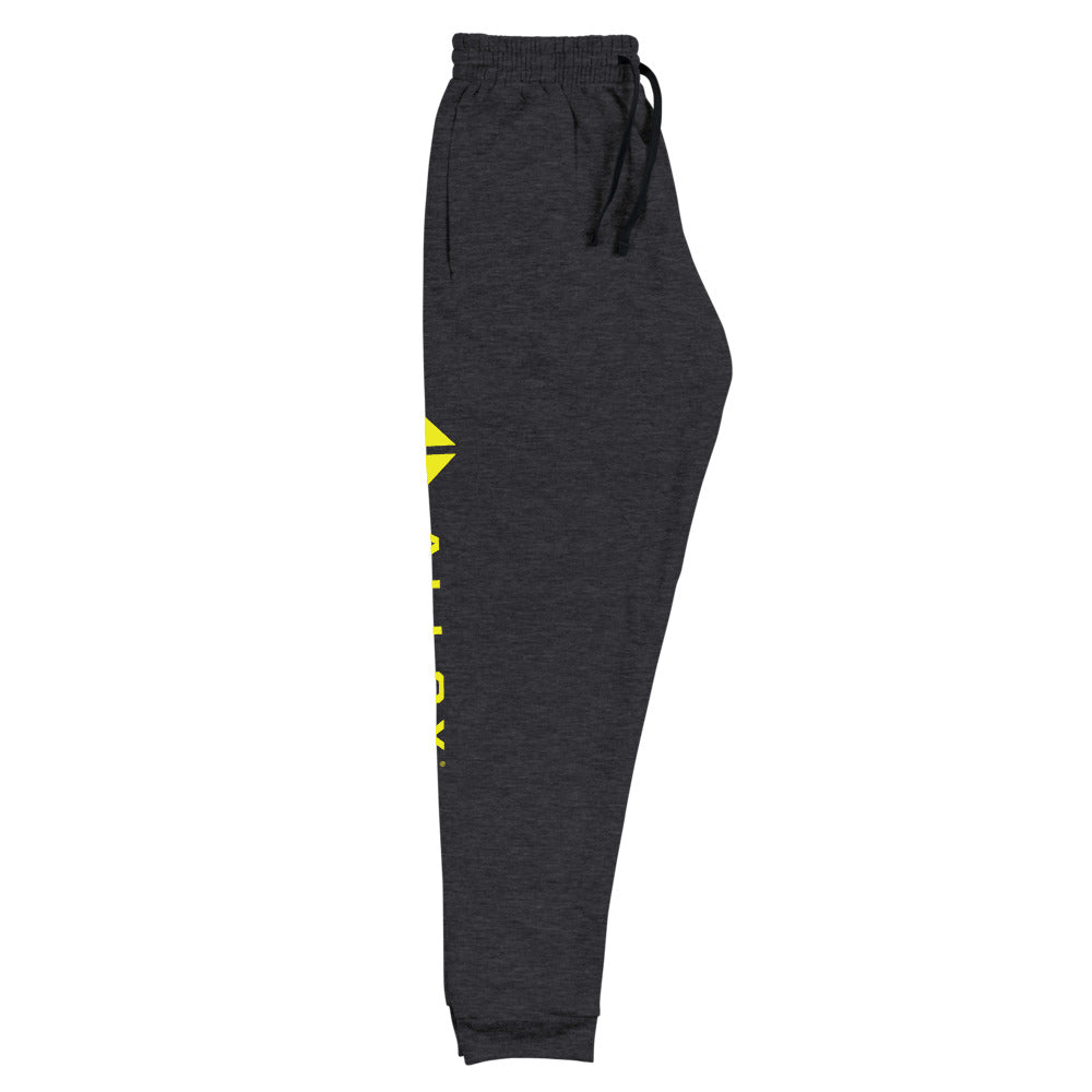Alloy Unisex Joggers